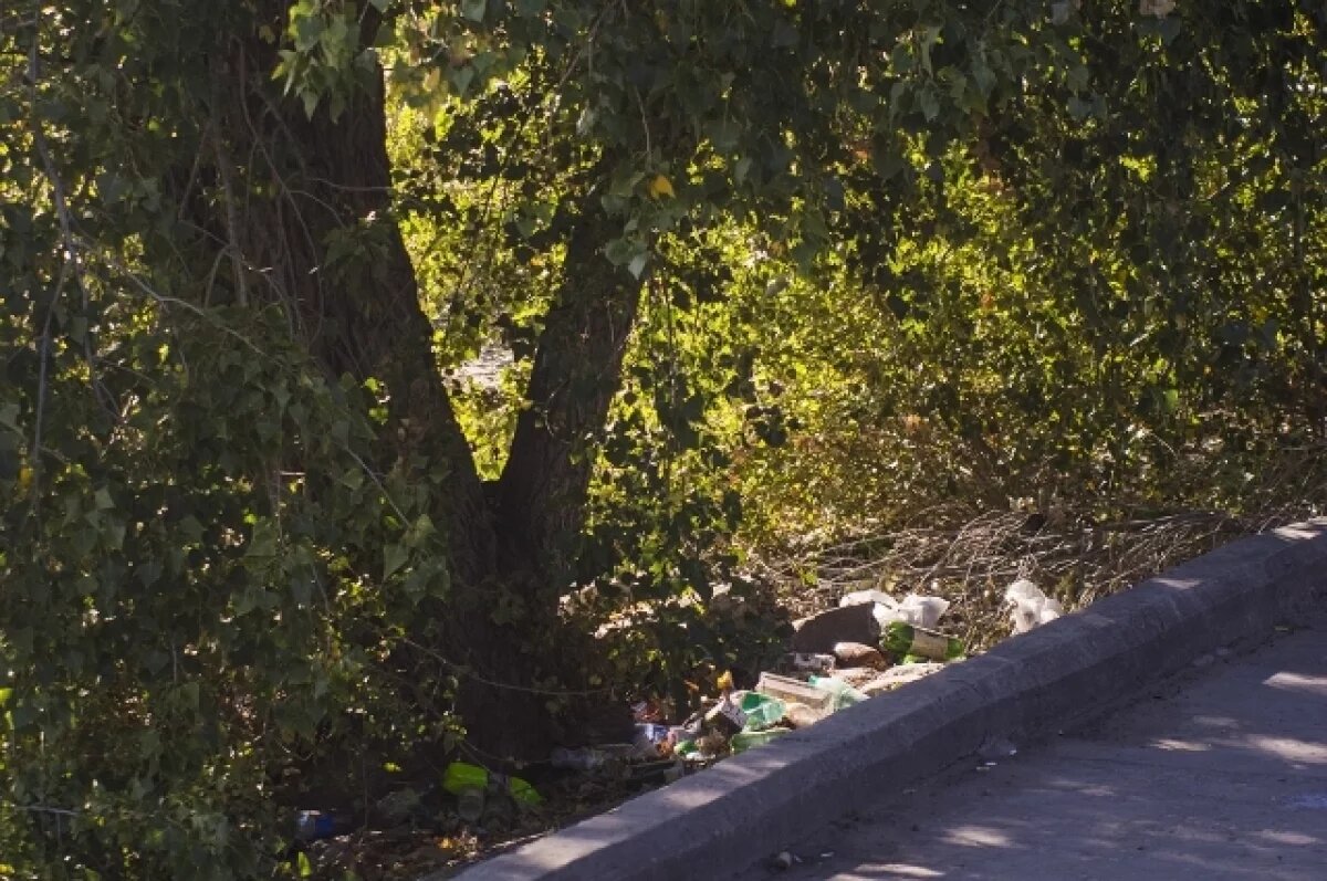    В Нижнем Новгороде мужчина попытался затащить в кусты 13-летнюю девочку