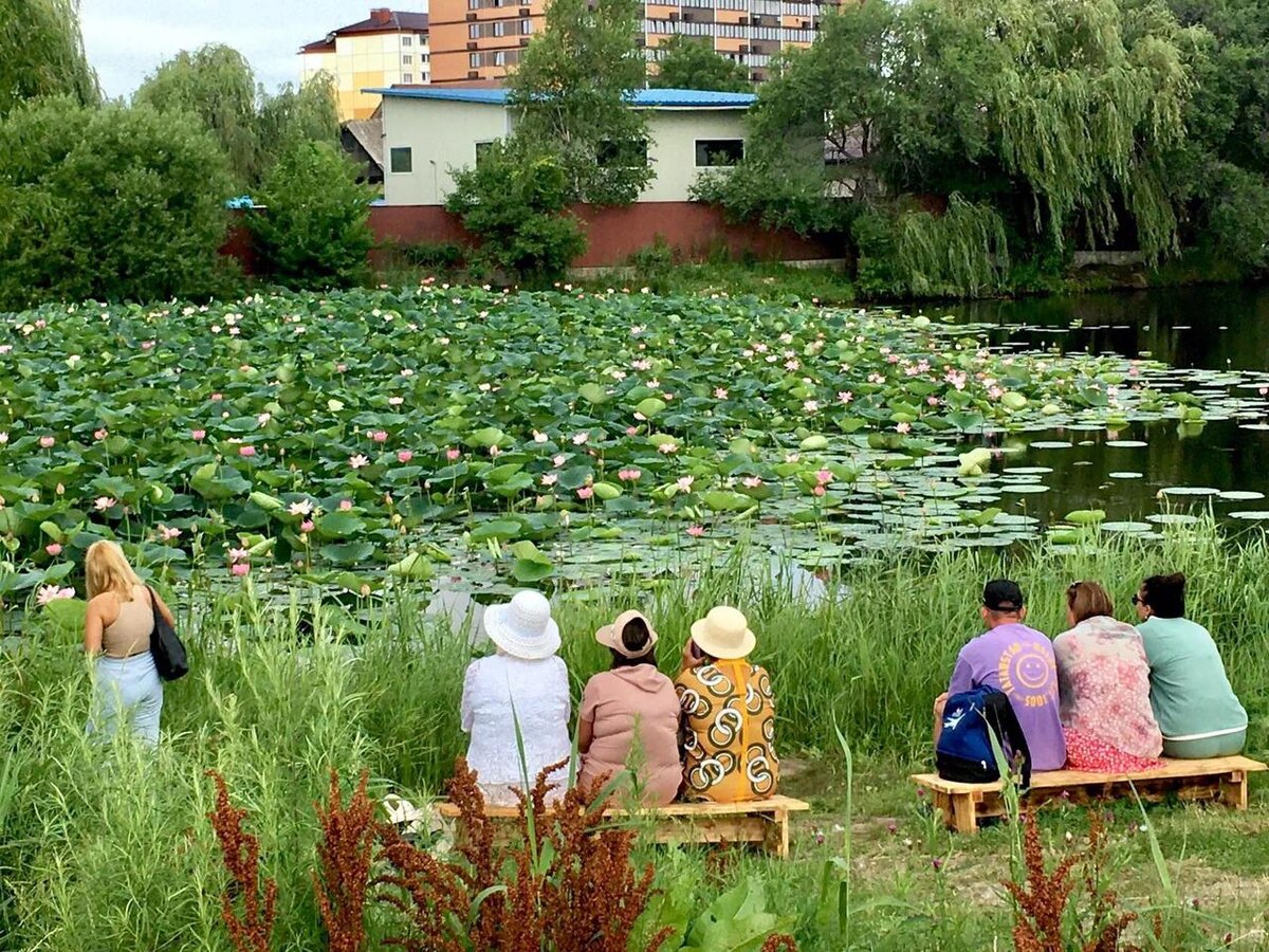 Много желающих полюбоваться