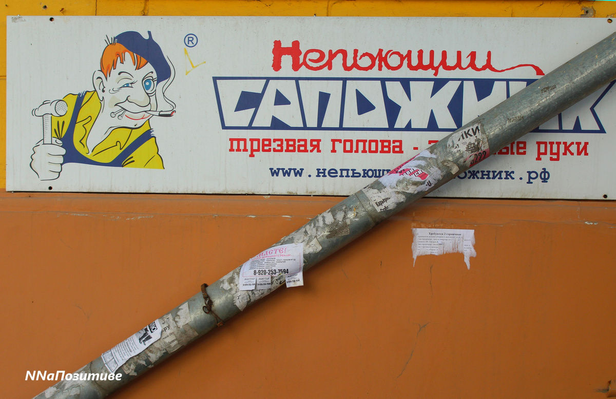 Трезвая голова :)))