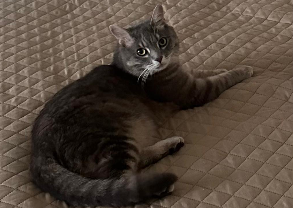 Фото: Личный архив читательницы