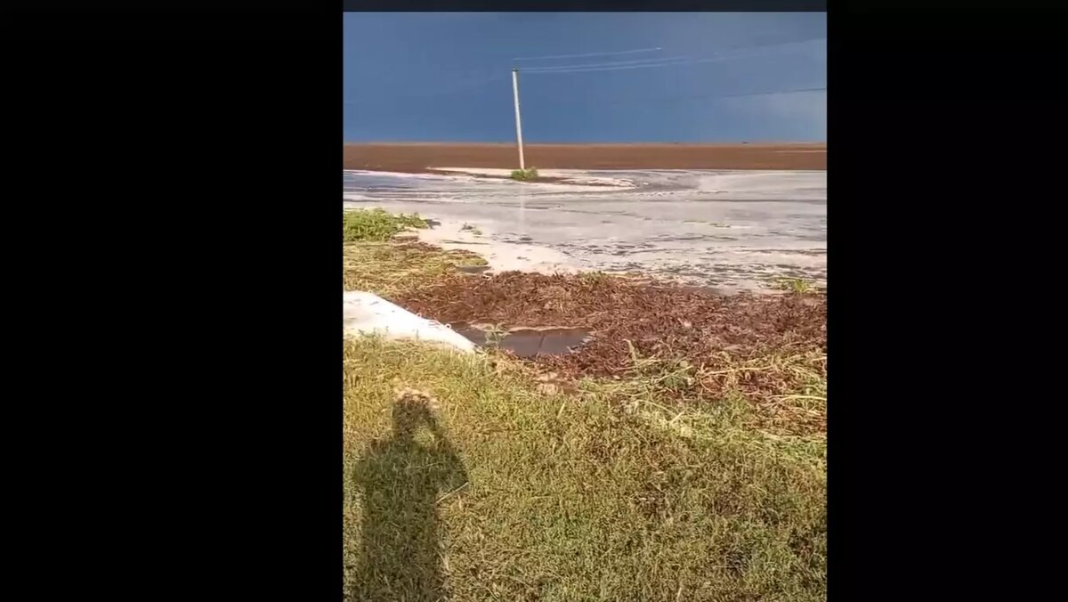     Источник: vk.com/officialfrolovo_new