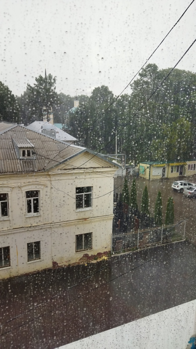 Фото мое.  Маме вчера фоткала. Ливень . До этого солнечно было.