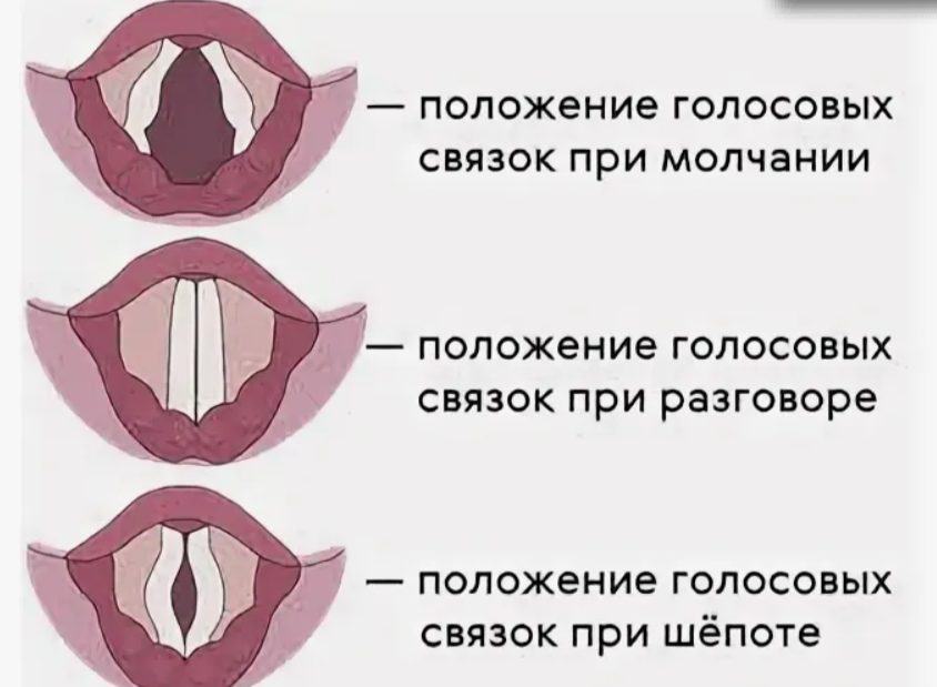 https://sun9-19.userapi.com/impg/MwOkUubRnkLkovv3HxiWx1X5VmNQMi