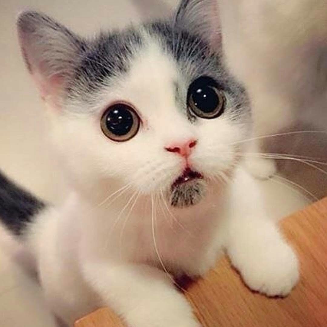 Стихи для детей