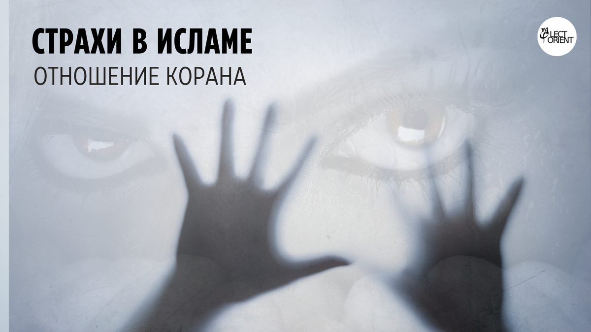 Фото взято из фотостока Canva