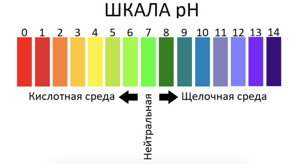 Значение ph в кислой среде. РН показатель кислотности. Ph12 уровень кислотности. PH уровень кислотности шкала.