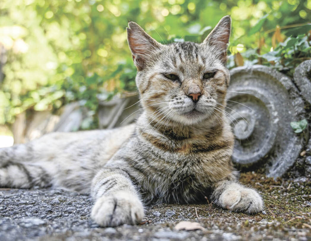 Фото: Гала Амарандо