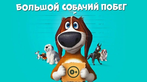 «Большой собачий побег» | Бигль в поисках свободы в собачьей тюрьме! 🐶🔓