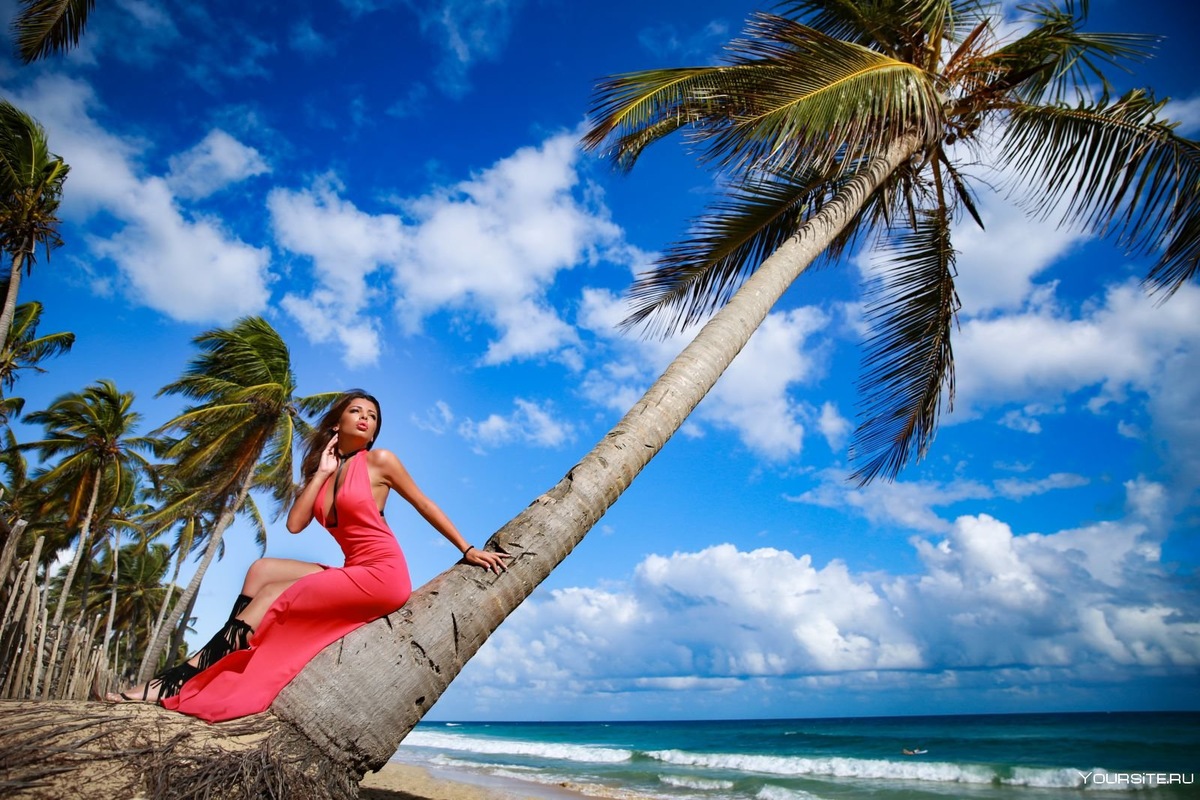 Девушка на пальме ждет принца