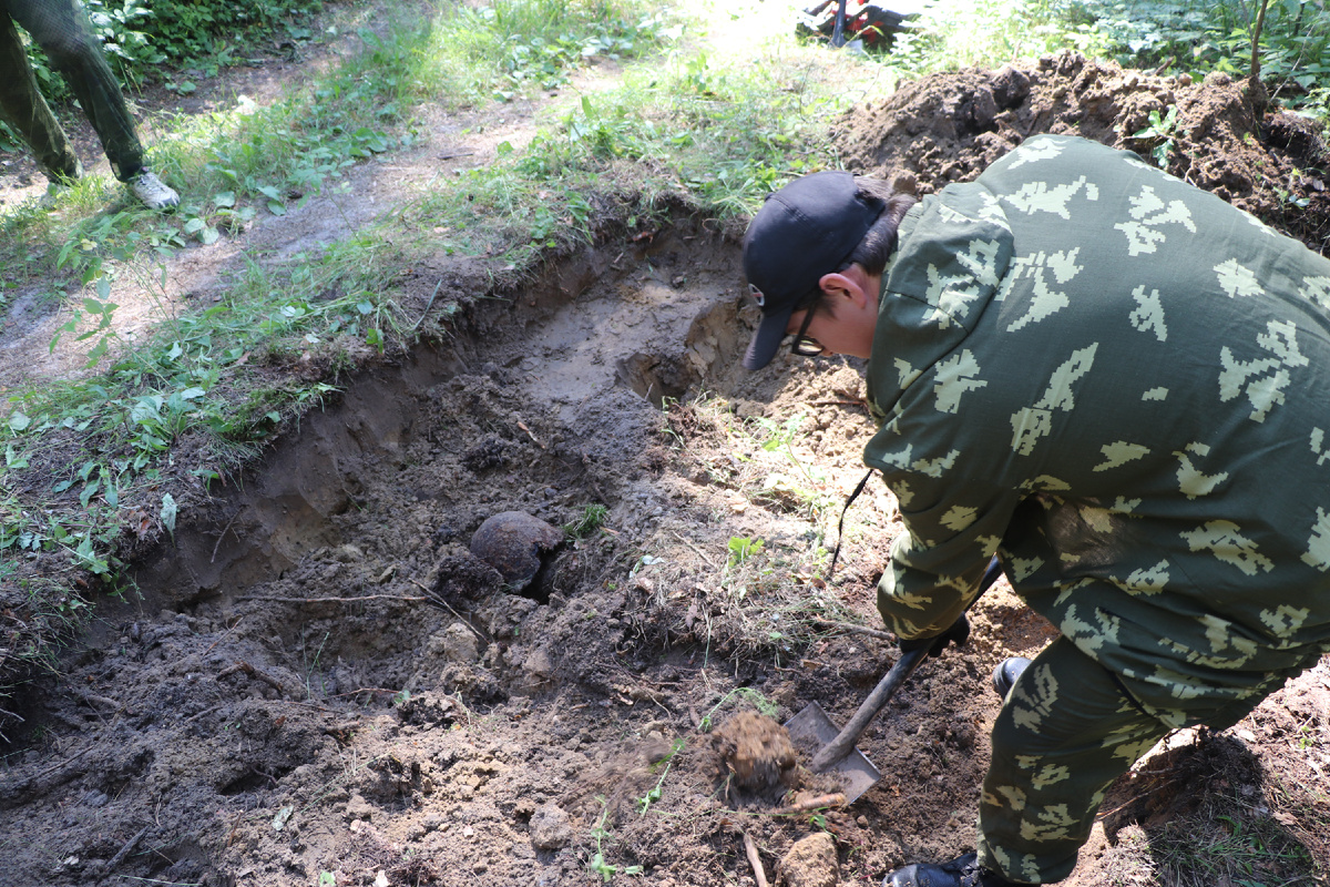 Работа идёт полным ходом