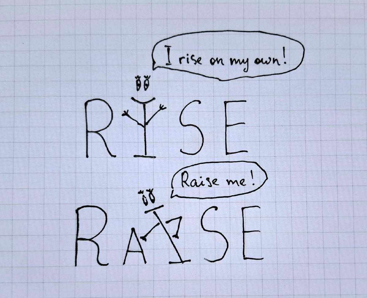 Запоминаем разницу между raise и rise