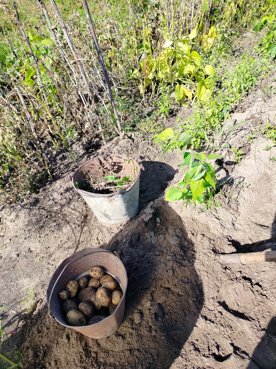 Начало положено