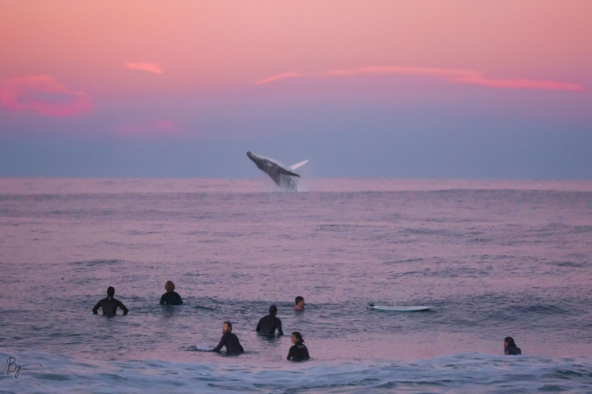 Фото предоставлено Хлей Сирач