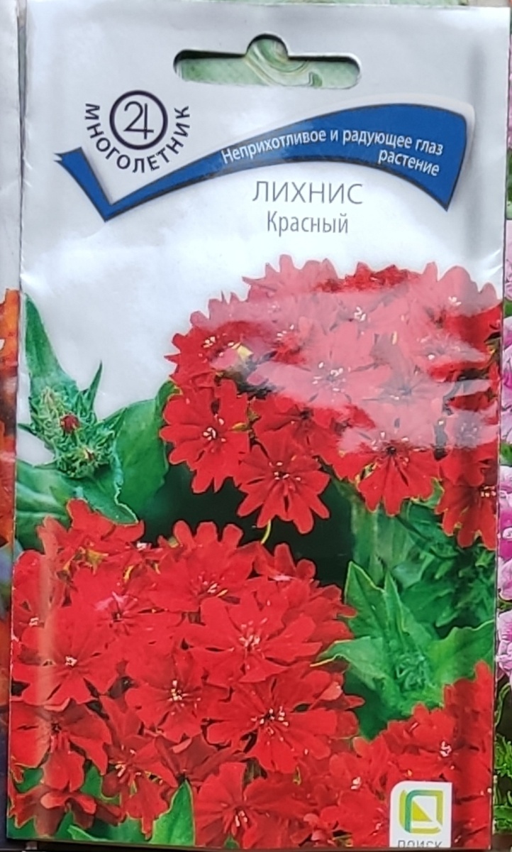 Фото все мои