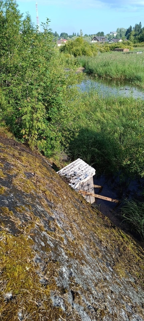    Лес вспыхнул от насоса в Сортавалепабилк пожарной части №38 Сортавалы