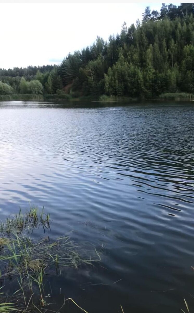 Это бесплатный водоем, в котором можно совершенно точно и безопасно искупаться. Вода чистая, а дно водоема песок. Единственным огорчением могут быть летающие насекомые у берега, но если отплыть подальше, то такие проблемы исчезают полностью.