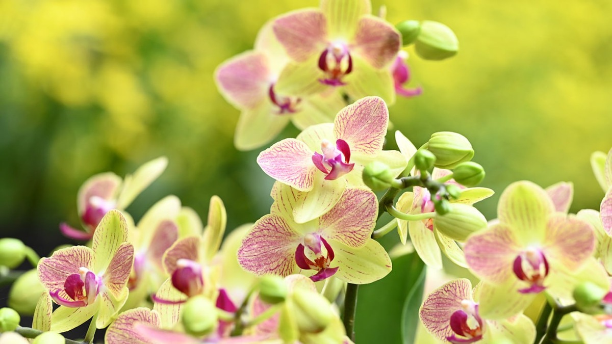 Фото: Global Look Press/Cfoto/Keystone Press Agency (из архива)