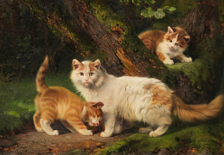 Кошачья семья играет в парке