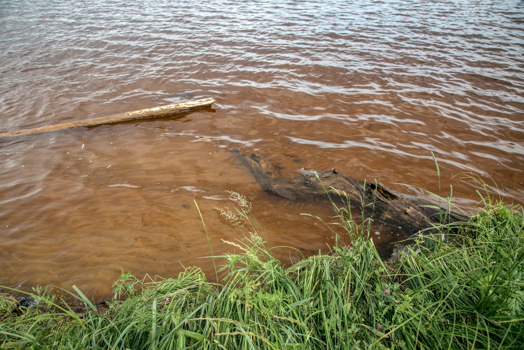    В водоемах Сургута нашли паразитов