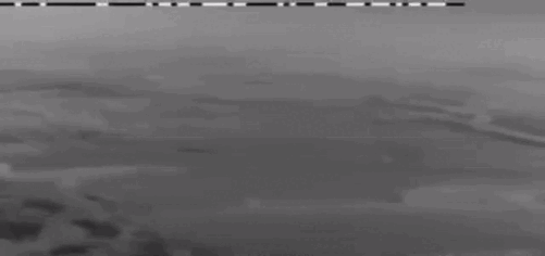 АРМИЯ РОССИИ УНИЧТОЖАЕТ ТЯЖЁЛЫМ ВООРУЖЕНИЕМ ПЕХОТУ ПРОТИВНИКА В ЛЕСНОМ МАССИВЕ. СКРИН С ТГ-КАНАЛА "ДВА МАЙОРА"