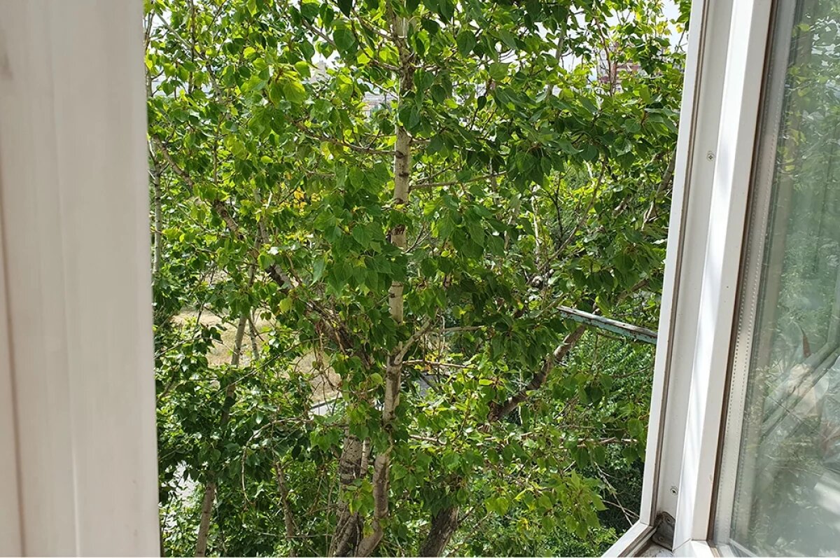    Директора лагеря на Южном Урале оштрафовали за падение ребёнка из окна