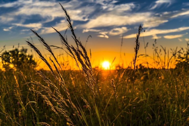    pixabay.com\FelixMittermeier Анна Полякова