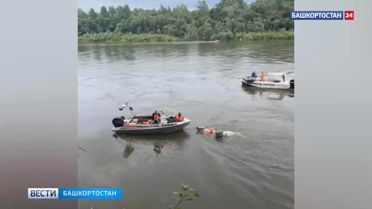    В Уфе спасли сорвавшуюся с обрыва лошадь