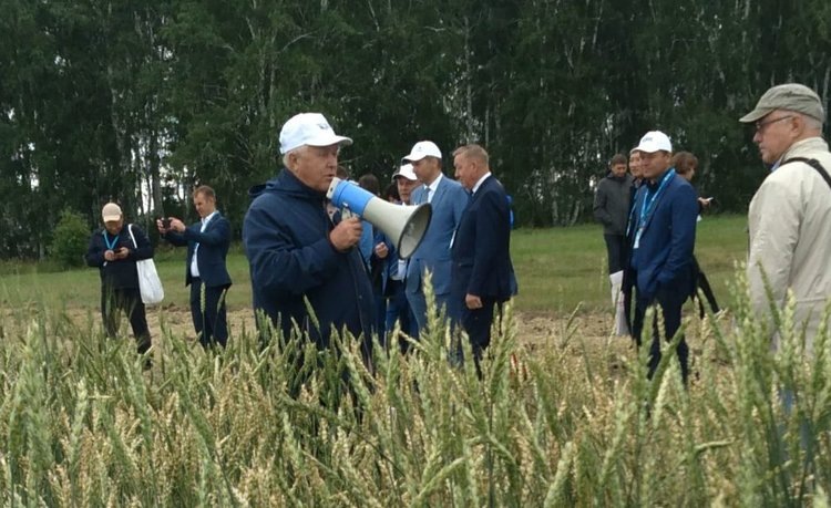    Сорта твердой пшеницы и отечественного пивоваренного ячменя представил Омский АНЦ