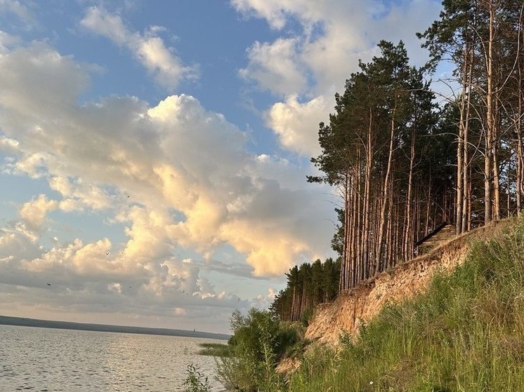     Фото: МК в Пензе