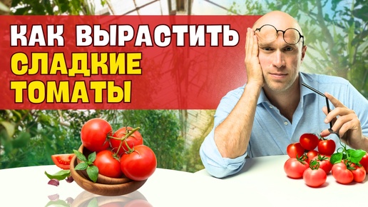 Как вырастить СЛАДКИЕ ТОМАТЫ. ТРИ ПРОСТЫХ ПРАВИЛА для садоводов!