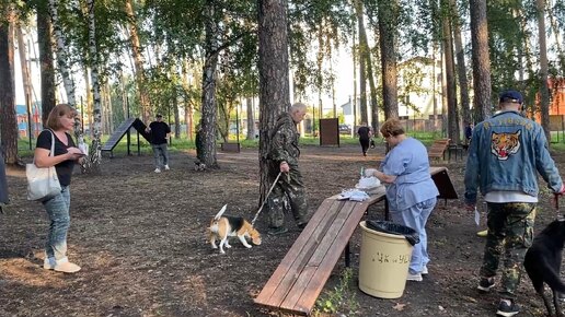 Домашних животных – вакцинировать! В шадринском СНТ выявили очаг бешенства