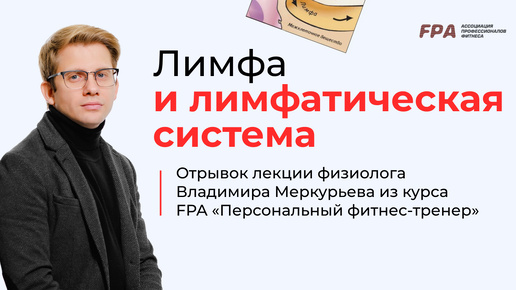 Лимфа и лимфатическая система | Владимир Меркурьев (FPA)