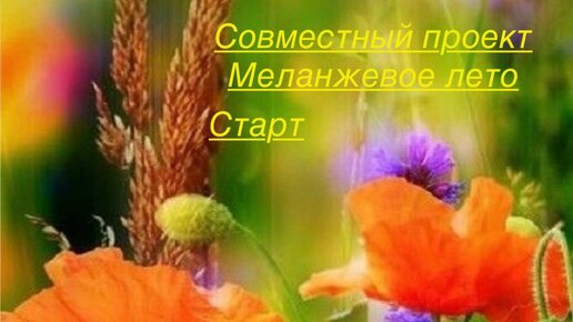 Старт. СП Меланжевое лето #меланжевоелето#богинипряжи#вязание