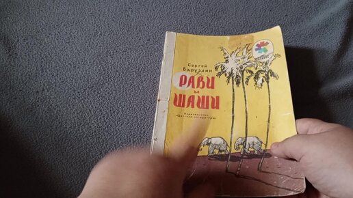 Оформление книги Рави и Шаши