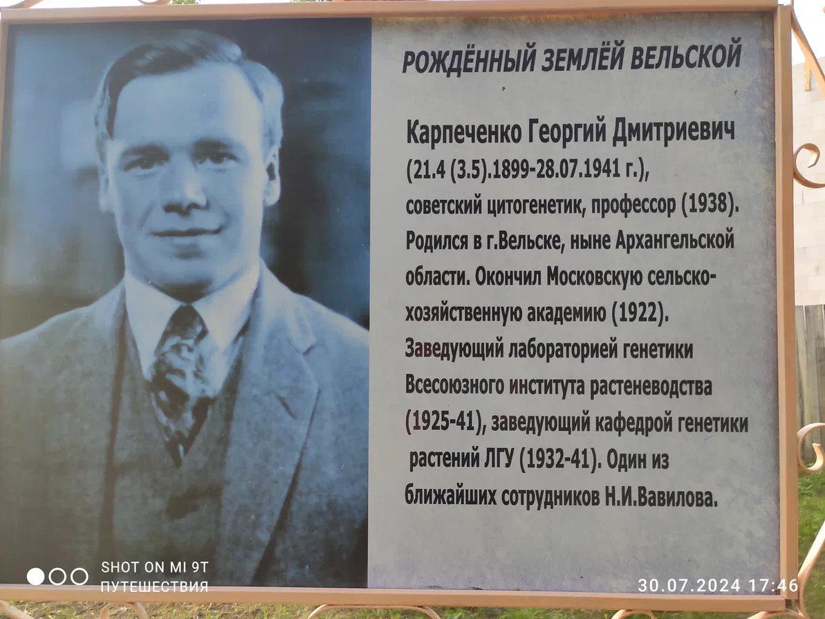 Вельск. Фото автора (листайте галерею)