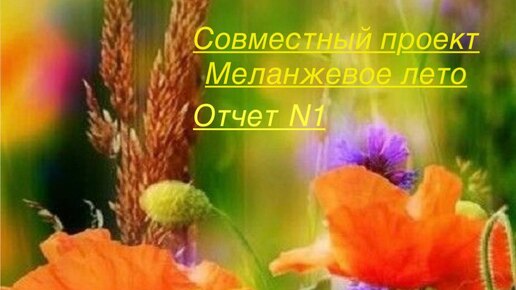 СП Меланжевое лето. Отчет 1. #меланжевоелето