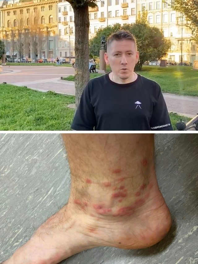 Из открытых источников 