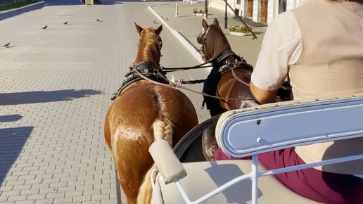 Древний и очень интересный город всего в 100 километрах от Москвы... Коломна ждет Вас!