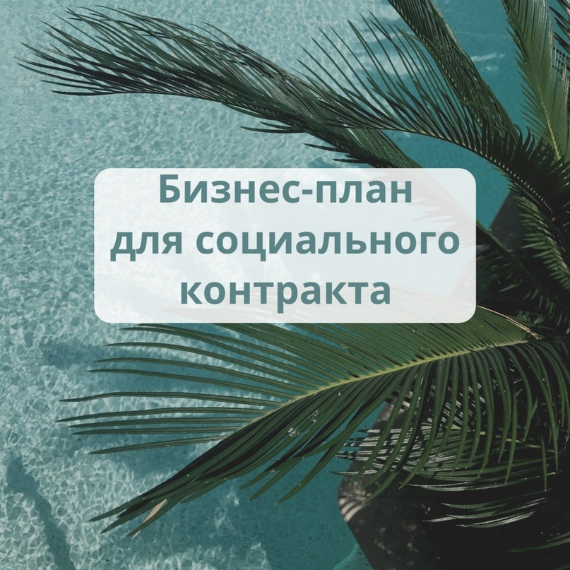 бизнес план для соц контракта 