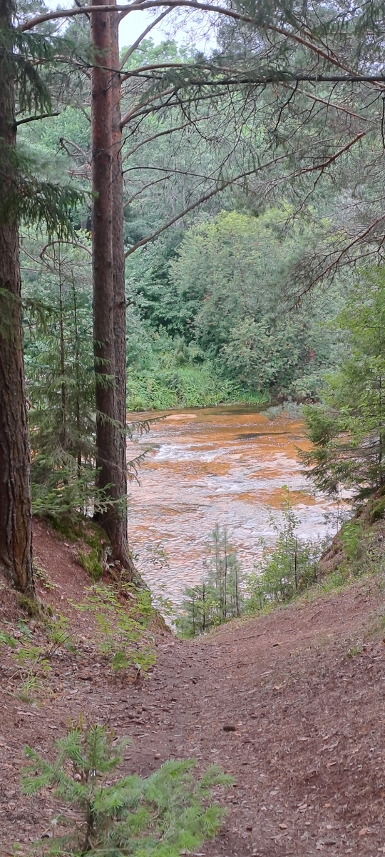 Уже видны перекаты (фото автора)