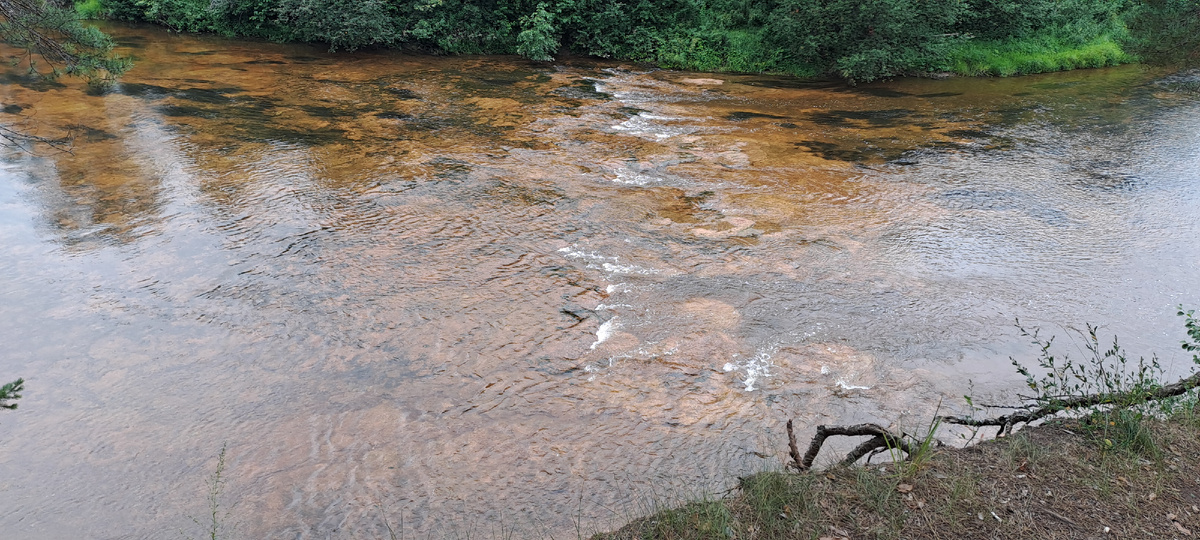 Вид сверху на речку Черца (фото автора)