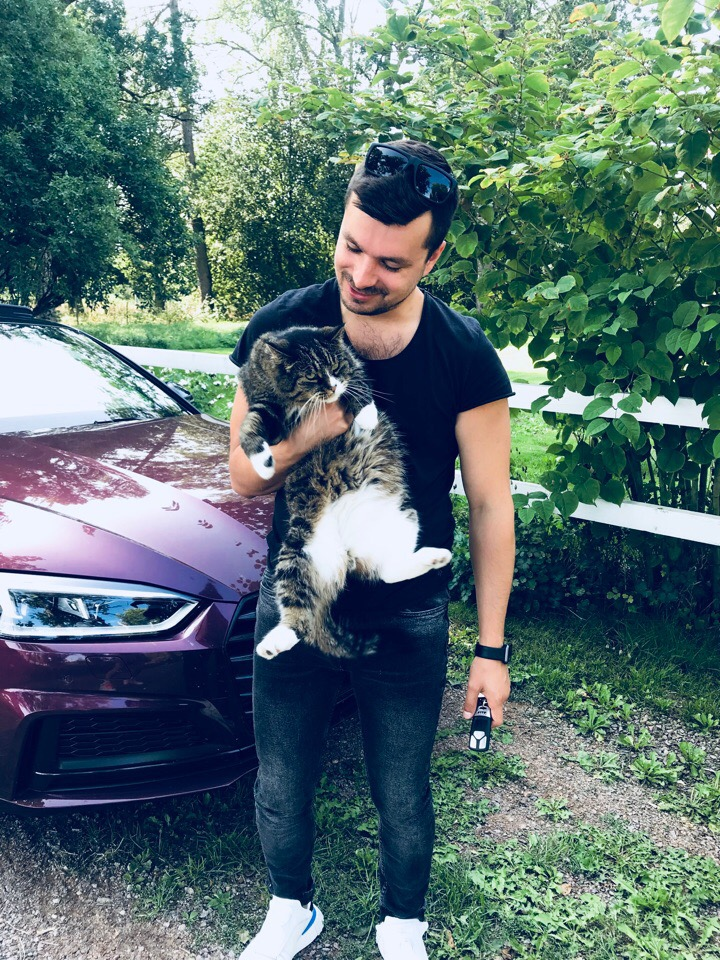 Фото с котиком для привлечения внимания. Фото автора