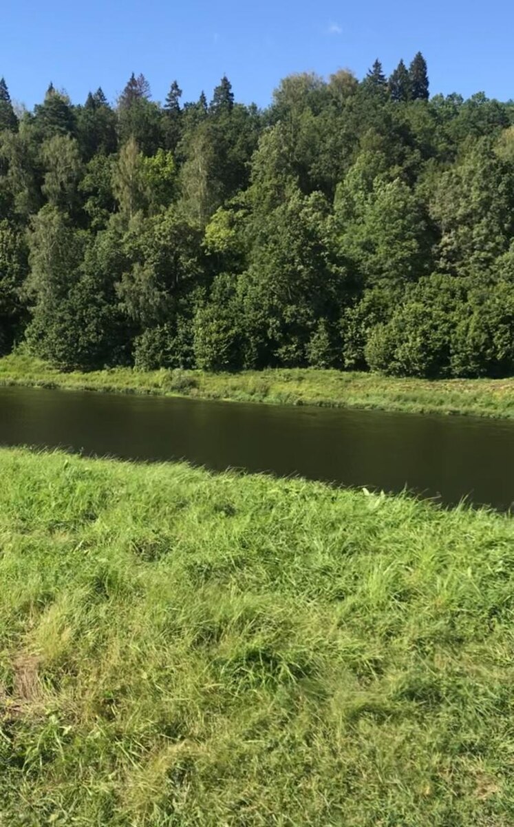 Быстрое течение способствует тому, чтобы покататься на лодке. А глубина оптимальная для того, чтобы чувствовать себя в полной безопасности.