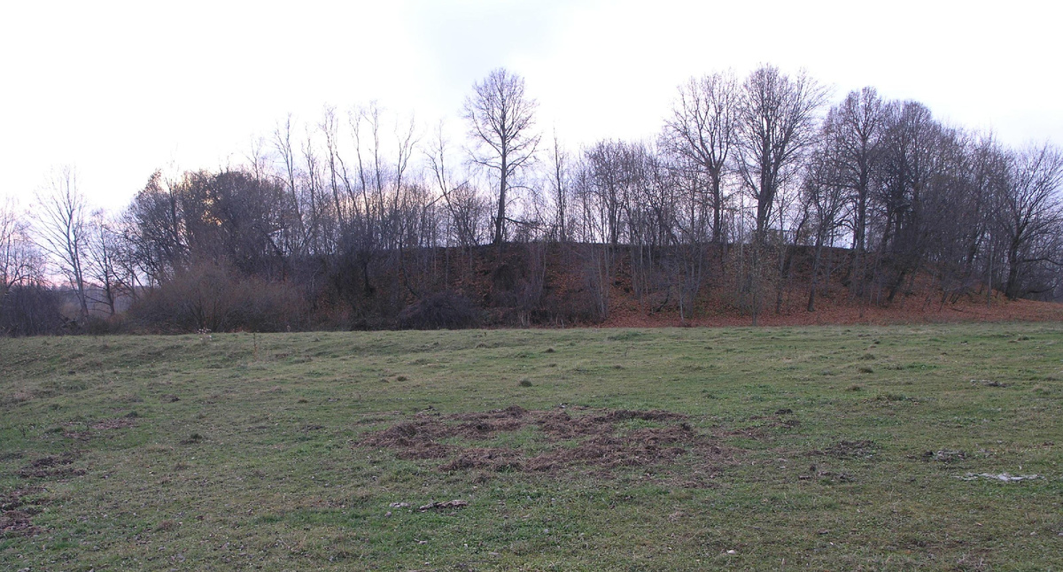 Общий вид Ерсикского городища