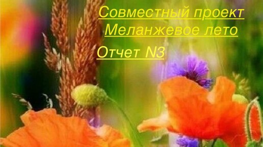 СП Меланжевое лето. Отчет 3 #меланжевоелето