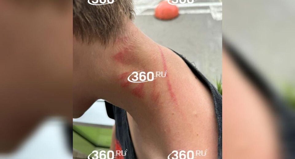     Телеканал «360»