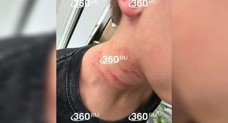     Телеканал «360»