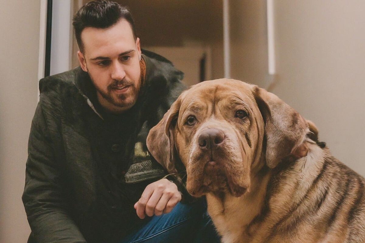 Как общаться с чужой собакой 