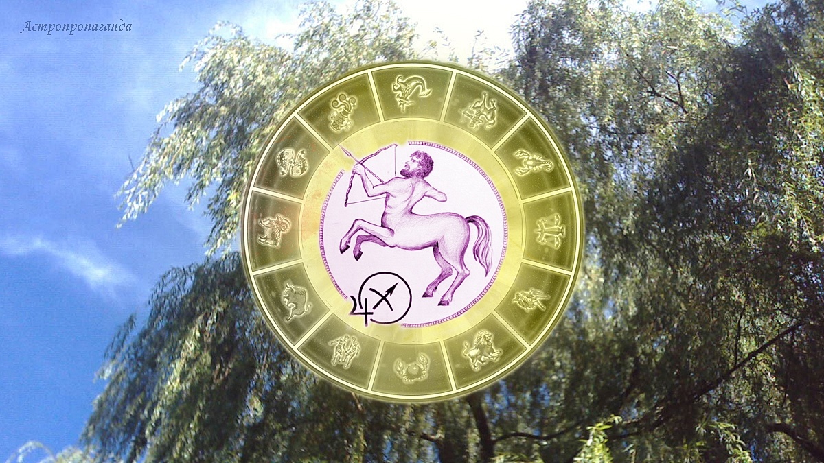 Гороскоп для Стрельца с 5 августа по 1 сентября 2024. 