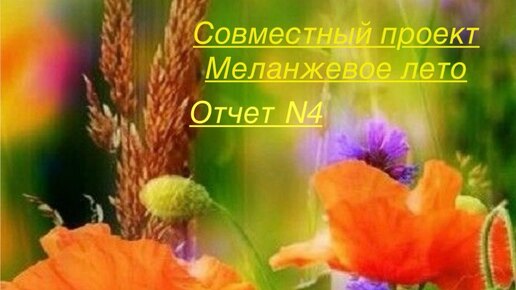 СП Меланжевое лето. Отчет 4. #меланжевоелето